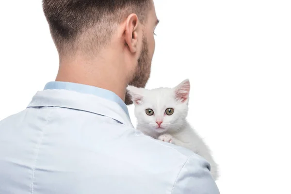 Rear view of male veterinarian with kitten isolated on white background — Stock Photo
