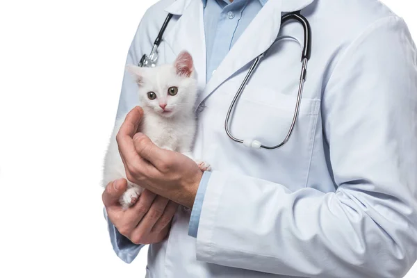 Colpo ritagliato di veterinario maschile con gattino isolato su sfondo bianco — Foto stock