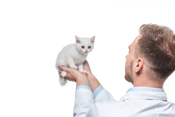 Vue arrière du jeune vétérinaire masculin tenant un chaton dans des mains isolées sur fond blanc — Photo de stock