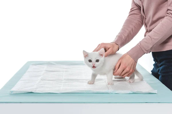 Imagem cortada de mulher com gatinho na mesa isolada no fundo branco — Fotografia de Stock