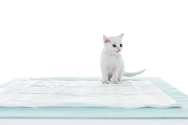 Vista frontal do gatinho na mesa isolada no fundo branco — Fotografia de Stock