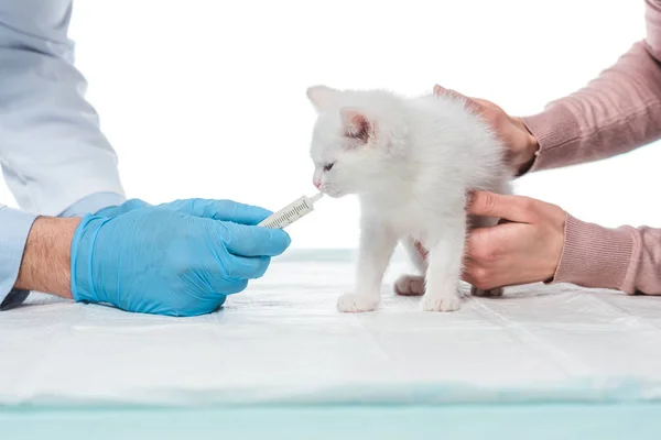 Imagem cortada de veterinário com seringa e mulher segurando gatinho isolado no fundo branco — Fotografia de Stock