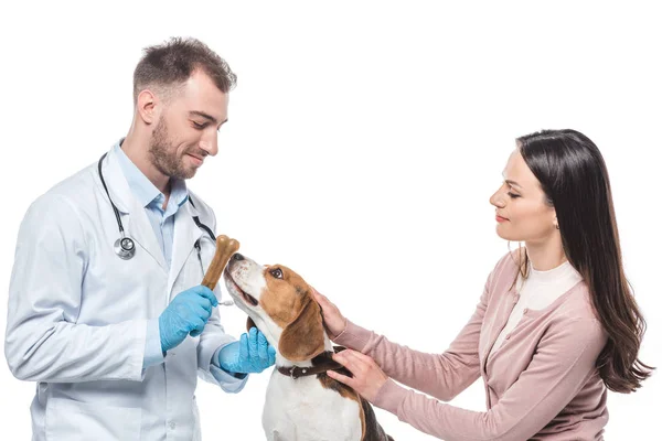 Mujer joven sosteniendo beagle mientras veterinario dándole hueso aislado sobre fondo blanco - foto de stock