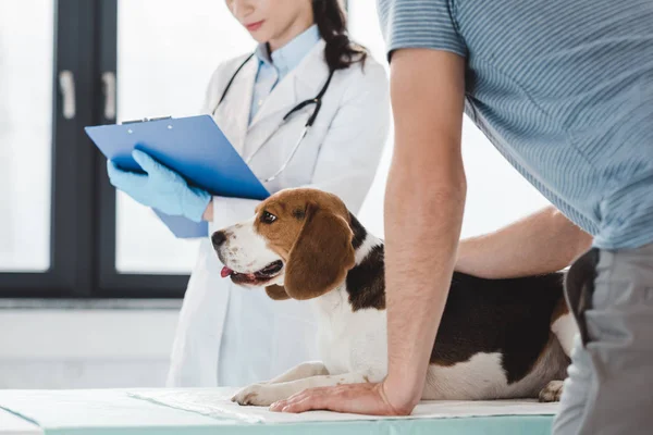 Cropped image of man with beagle and veterinarian writing diagnosis in clipboard — Stock Photo