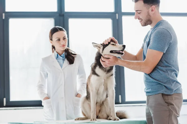 Giovane uomo sorridente con husky e veterinario femminile in clinica — Foto stock