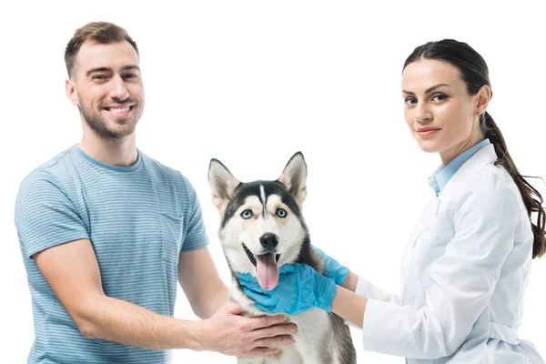 Giovane uomo sorridente con husky e veterinario femminile isolato su sfondo bianco — Foto stock