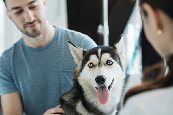 Young man with husky and female veterinarian in clinic — Stock Photo