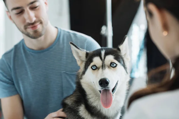 Junger Mann mit Husky und Tierärztin in Klinik — Stockfoto