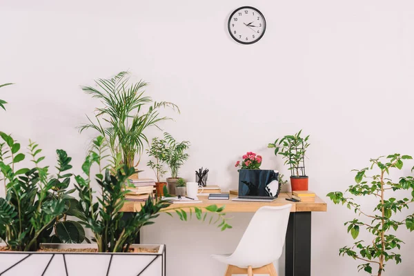 Table en bois avec plantes en pot et chaise sur le lieu de travail — Photo de stock