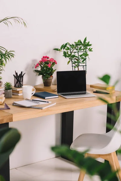 Laptop on wooden table with potted plants in workplace — Stock Photo