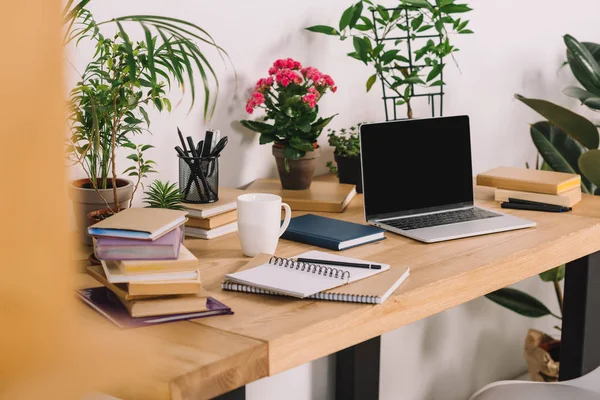 Ноутбук на деревянном столе с горшком растений в офисе — стоковое фото
