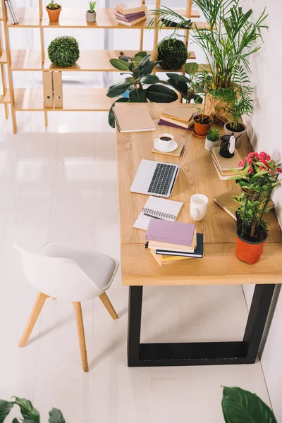 Vista de ángulo alto de las plantas y el portátil en la mesa en la oficina - foto de stock