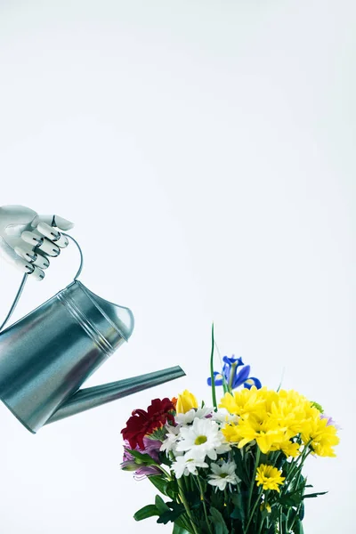 Hand of robot holding watering can and beautiful blooming flowers isolated on white — Stock Photo