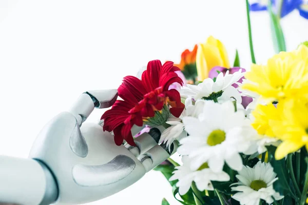 Vista de cerca del robot tocando hermosas flores aisladas en blanco - foto de stock