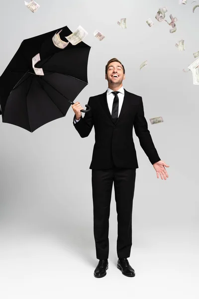 Красивий і усміхнений бізнесмен в костюмі тримає парасольку і стоїть біля падаючих доларових купюр на сірому фоні — стокове фото