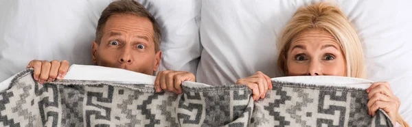 Panoramic shot of mature couple covering with blanket and looking at camera — Stock Photo