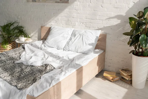 Schlafzimmerinnenraum mit Pflanzen und Sonnenlicht — Stockfoto