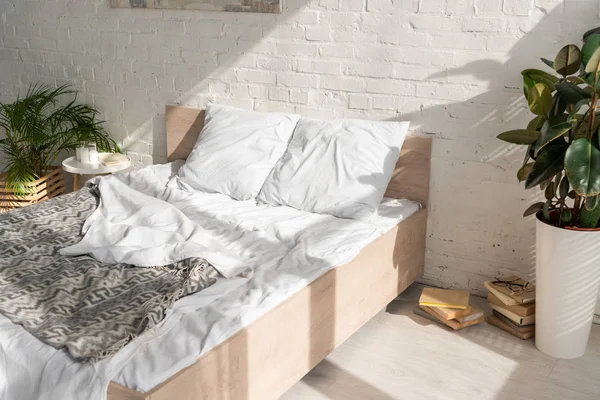 Interior del dormitorio con plantas y luz solar - foto de stock