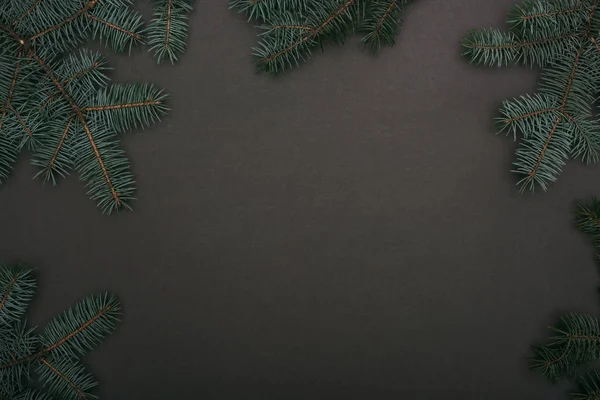 Top view of christmas frame with spruce branches on black — Stock Photo