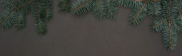 Panoramic shot of christmas frame with spruce branches on black — Stock Photo