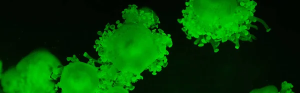 Cassiopea jellyfishes in green neon light on dark background, panoramic shot — Stock Photo