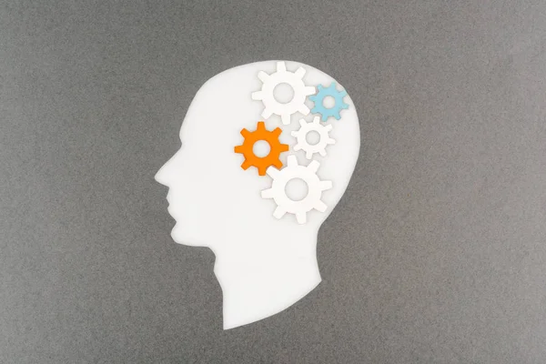 Top view of cut out white human head with colorful gears isolated on grey — Stock Photo