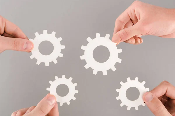 Cropped view of people holding white gears isolated on grey — Stock Photo