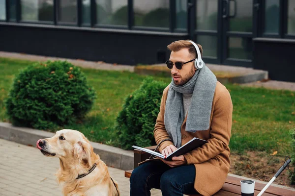Слепой человек в наушниках держит книгу на скамейке рядом с собакой-поводырем — стоковое фото