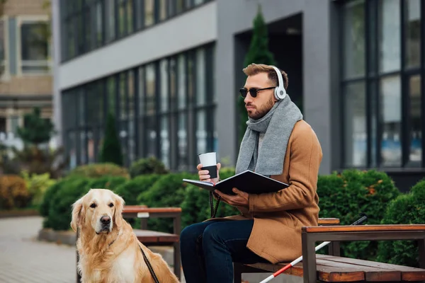 Blind man in headphones holding book and thermo mug on bench beside guide dog — Stock Photo