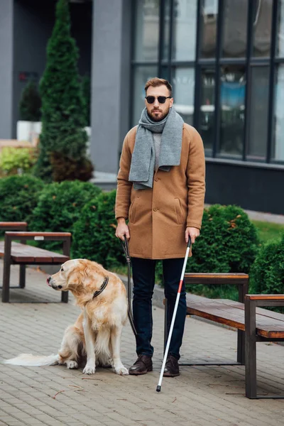 Сліпа людина з пішохідною паличкою та собакою-поводирем у парку — стокове фото