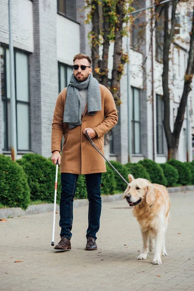 Blinder Mann läuft mit Blindenhund auf Stadtstraße — Stockfoto