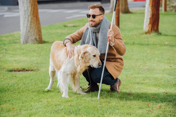 Smiling blind man with walking stick petting guide dog on lawn — Stock Photo