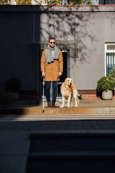 Cego homem com cão guia e vara de passeio cruzando estrada na rua — Fotografia de Stock