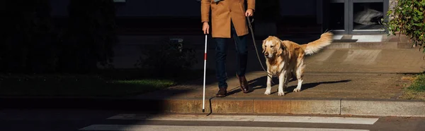 Vista cortada do homem cego com cão guia andando na passarela, tiro panorâmico — Fotografia de Stock