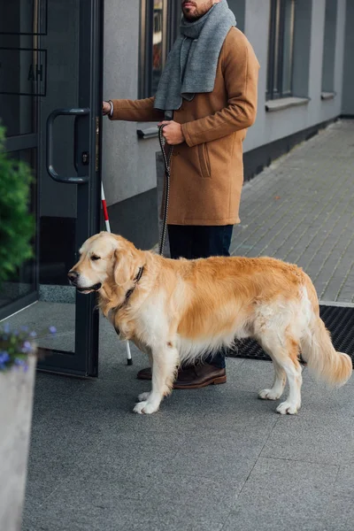 Cropped view of blind man with guide dog and walking stick opening door of building — Stock Photo