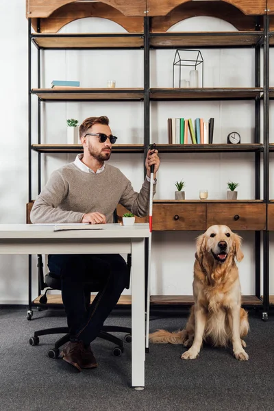 Blind man with walking stick sitting at table beside golden retriever — Stock Photo