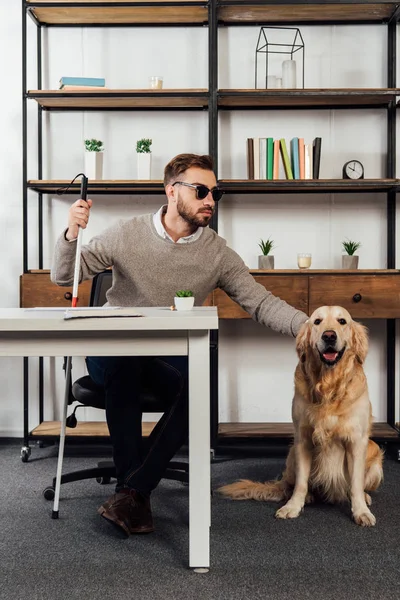 Hombre ciego sentado en la mesa y acariciando a golden retriever en casa - foto de stock