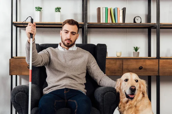 Blind man with walking stick sitting in armchair beside golden retriever at home — Stock Photo