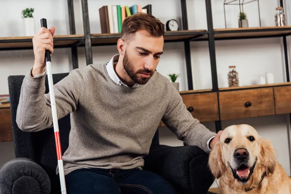 Aveugle avec bâton de marche assis dans le fauteuil et caressant golden retriever à la maison — Photo de stock