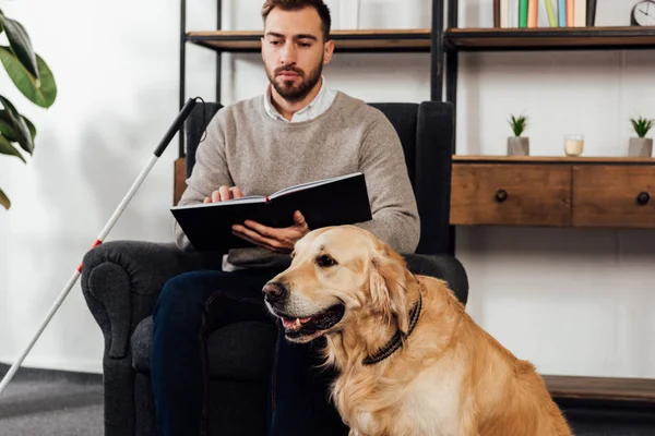 Selective focus of golden retriever sitting beside blind man with book in living room — Stock Photo