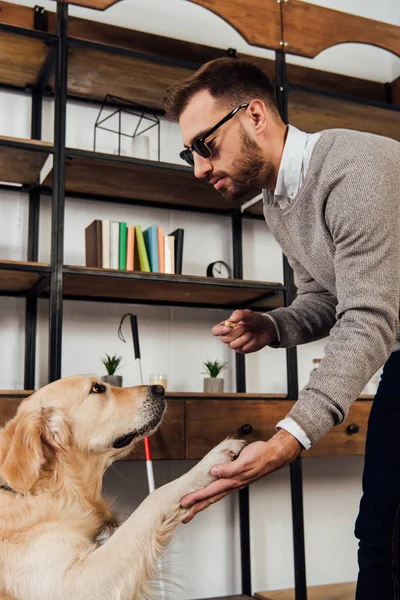 Vista lateral del hombre con discapacidad visual sosteniendo bagel mientras entrena golden retriever en casa - foto de stock