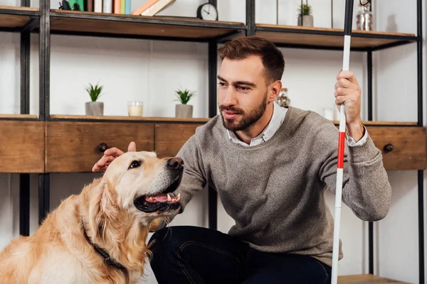 Visually impaired man with walking stick stroking golden retriever at home — Stock Photo