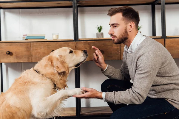 Side view of visually impaired man training golden retriever at home — Stock Photo