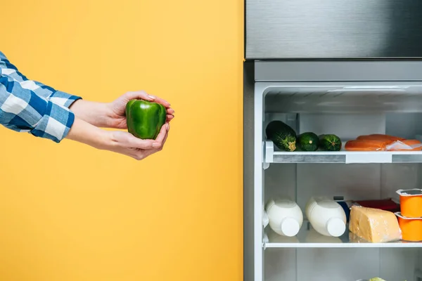 Cropped view of woman holding bell pepper near open fridge with fresh food on shelves isolated on yellow — Stock Photo
