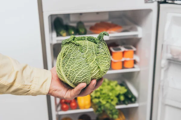 Обрізаний вид людини, що тримає капусту біля відкритого холодильника зі свіжою їжею на полицях — стокове фото