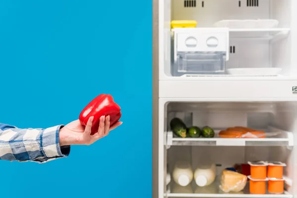 Abgeschnittene Ansicht einer Frau, die Paprika in der Nähe von offenem Kühlschrank und Gefrierschrank mit frischen Lebensmitteln in blau isolierten Regalen hält — Stockfoto