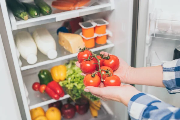 Vista recortada de la mujer sosteniendo tomates cerca de nevera abierta con alimentos frescos en los estantes - foto de stock