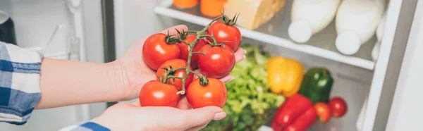 Abgeschnittene Ansicht einer Frau, die Tomaten in der Nähe eines offenen Kühlschranks mit frischen Lebensmitteln in Regalen hält, Panoramaaufnahme — Stockfoto