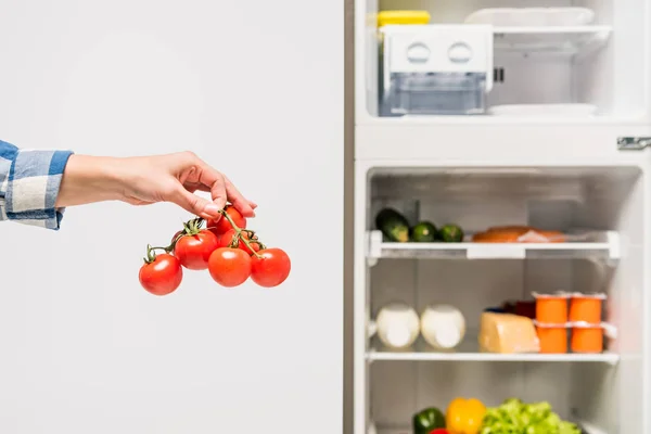 Vista cortada de mulher segurando tomates perto da geladeira aberta com alimentos frescos em prateleiras isoladas em branco — Fotografia de Stock