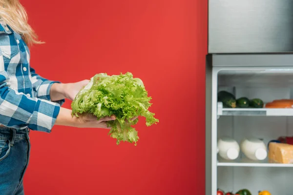 Vista ritagliata della donna che tiene lattuga vicino al frigorifero aperto con cibo fresco sugli scaffali isolati sul rosso — Foto stock